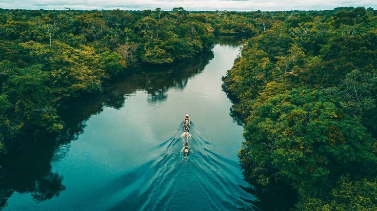 portada amazonas